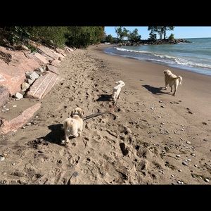 Meet your Posher, Heather